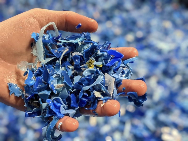 Shredded post-consumer HDPE from the Level 7 line.